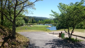 DSC_0129　20160512笹平3